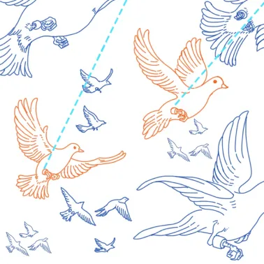 賽鴿衛星定位飛行軌跡記錄器(賽鴿腳環)