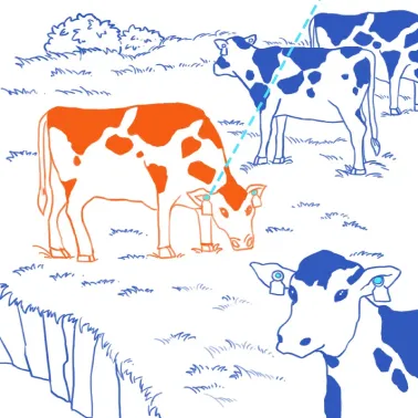 開放牧場裡的畜牧追蹤器